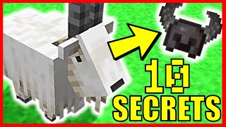 10 *NOUVEAU* SECRETS SUR LA CHEVRE MINECRAFT 1.17 !