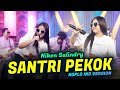 SANTRI PEKOK - NIKEN SALINDRY - KOPLO VERSION COVER BY KOPLO IND