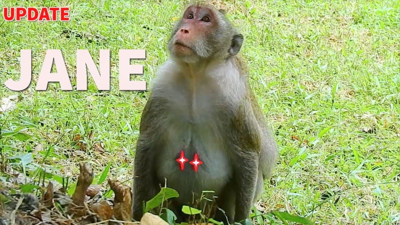 Jane will give birth soonJane worry place for newborn baby give birth