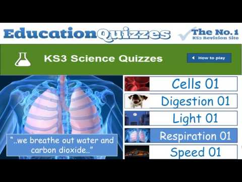 Video: Giải pháp trong khoa học ks3 là gì?