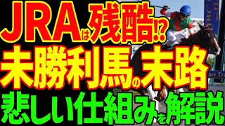 【天国と地獄】今週の競馬は未勝利最終週…中央競馬での運命を決めるレースが行われるデスゲーム的なレース…なぜ未勝利馬は未勝利馬でいられないのか解説【私の競馬論】【競馬ゆっくり】【負け組一口馬主の愚痴】