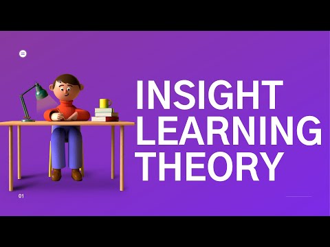 Insight Learning Theory