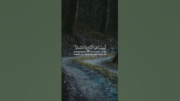 القارئ: أحمد النفيس 🍃  أرح سمعك 🌸 #اكسبلور #لايك #ترند #تيك_توك #حالات_واتس #راحة_نفسية