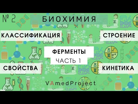 Ферменты. 1 часть.