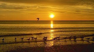 Sunset in North Naples, FL - August 28, 2018