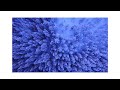 Joys of Tension (Official Music Video)