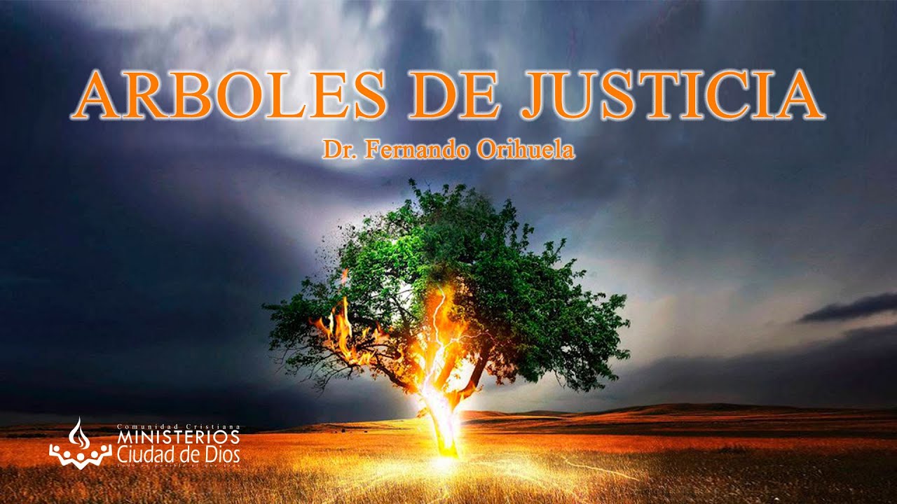 Arboles de Justicia  - Dr.  Fernando Orihuela.