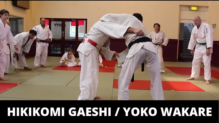 Hikkikomi Gaeshi / Yoko Wakare