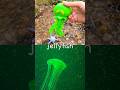 Kids Learn | Sea Animal Names at the Stream: Whale Manatee Spider Crab Jellyfish Boxfish