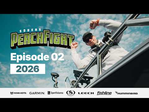 PerchFight 2026 | Episode 2