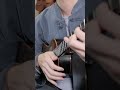 【ウクレレで一番弾かれている楽曲】Isn't She Lovely をウクレレ１本で弾いてみた