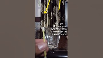 Amazing Science experiment of solubility of gases #shorts #scienceexperiment