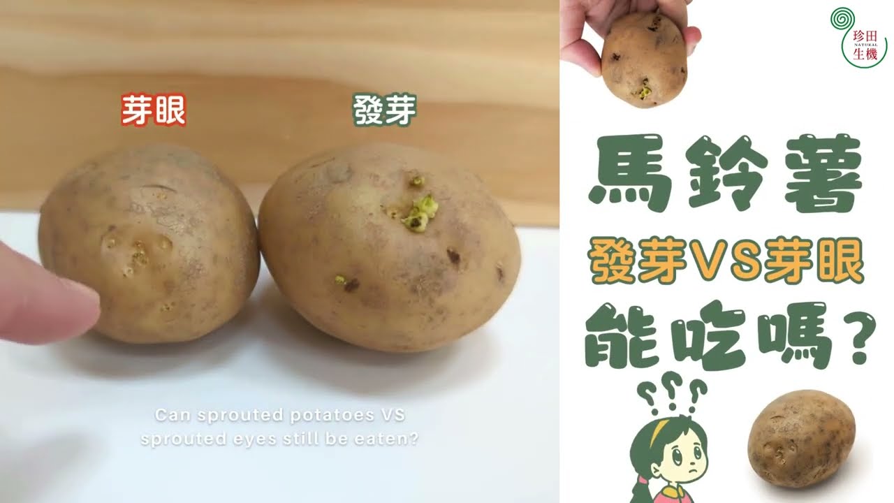 【馬鈴薯 發芽VS芽眼】還能吃嗎🥺? #珍田生機 #食農教育 #小知識 #馬鈴薯 #potato #馬鈴薯發芽 #馬鈴薯芽眼