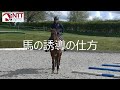 馬の誘導の仕方#6