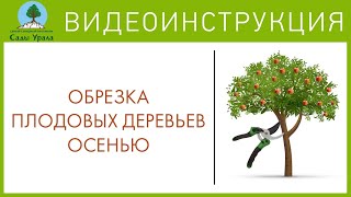 Формирование кроны плодового дерева. Сады Урала. Телепередача Земля Уральская. Архив.(Формирование деревьев на плодоношение. Обрезка. Вредители яблони. Рассказывает Александра Николаевна..., 2016-04-05T19:19:18.000Z)