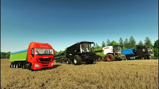 FS22  / Уборка пшеницы и рапса CLAAS LEXION 5300 + Fendt Ideal