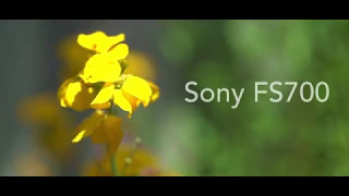 Sony FS700 Footage (200 fps slow-motion test)