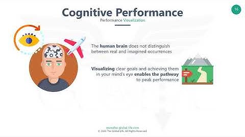 Cognitive Performance - The Pilot Factored - Chapter 10