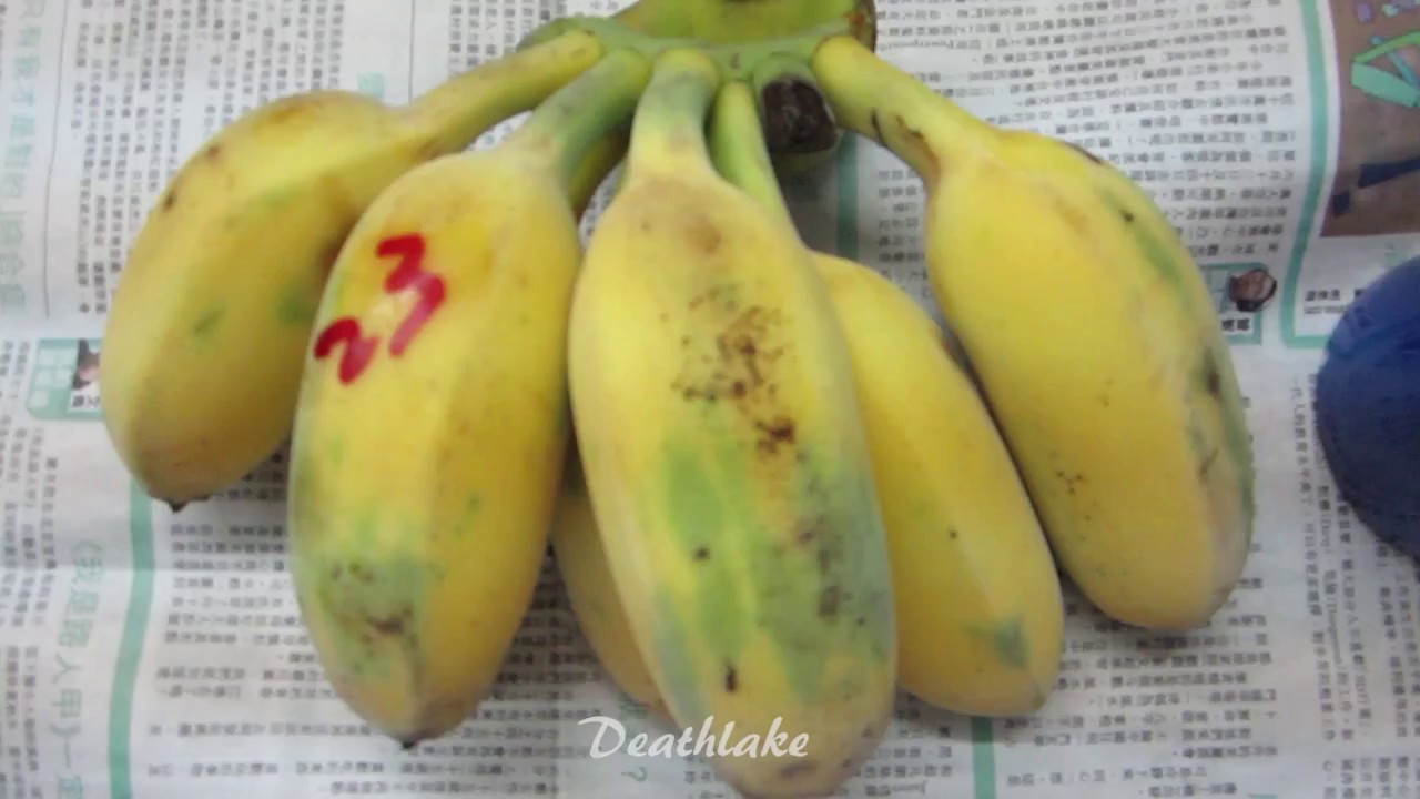 Short THICK bananas Hong Kong YouTube