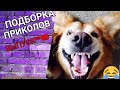 СМЕШНЫЕ ВИДЕО 2021 // ЛУЧШИЕ ПРИКОЛЫ 2021 // ПРИКОЛЫ // РЖАЧ ДО СЛЕЗ // ТЕСТ НА ПСИХИКУ // #10