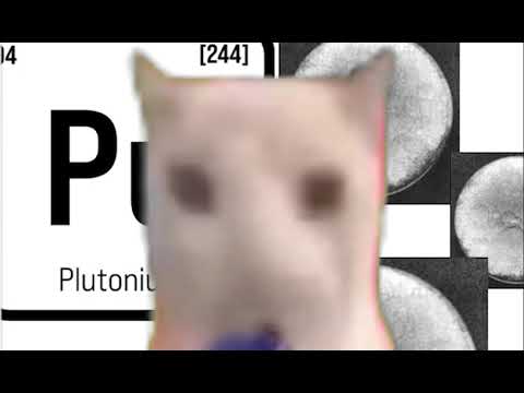 cat eats plutonium for 12 seconds