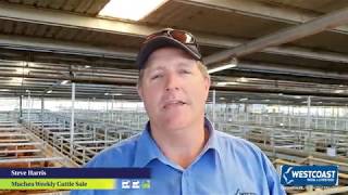 Muchea Weekly Cattle Sale Monday 30th September 2019