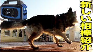 新しい相棒・車中泊・テレワークに便利なAnypro ポータブル電源