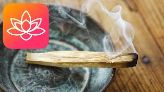 Palo Santo Sticks - Powerful Short Meditation Reduce Stress And Instantly Increase Positive Energy