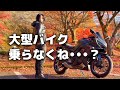 【紅葉ツーリング🍁】最近の私のバイク事情を話します