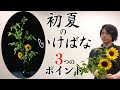 【生け花】初心者でも簡単！花瓶を使った初夏のお花の生け方【ひまわり/ヒメリョウブ】