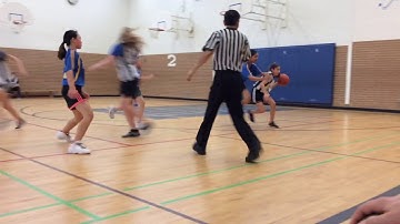 Girls Basketball Game Highlights Donview MS vs Don Mills MS