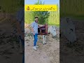 خندارترین Funny خندارترین طنز خندانندهشو زن Comedy کلیک اکشن شقایق فان حیوانات بازیگر خندارترین Funny خندارترین طنز خندانندهشو زن Comedy کلیک اکشن شقایق فان حیوانات بازیگر