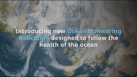 New Ocean Monitoring Indicators: Ocean Acidification
