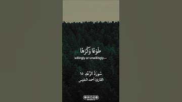 من سورة الرعد || القارئ أحمد النفيس |