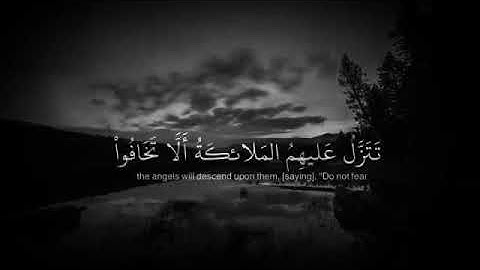 نايف الفيصل - من سورة فُصّلت