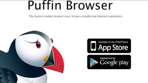 Puffin Browser - Simple Way to Play Flash on iOS Devices