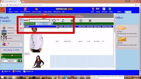 Develop Shopping Cart App. in Angularjs.Video 26.Filter data based  on multiple criteria selected