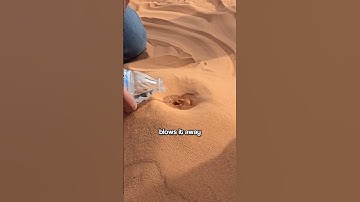10-Million-Year Canyon in Just 10 Seconds