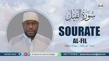 MALICK DIAW : Sourate al-Fil · سورة الفيل L'ÉLÉPHANT · N°105 · 5 VERSETS ( Hafs 'an 'Asim )
