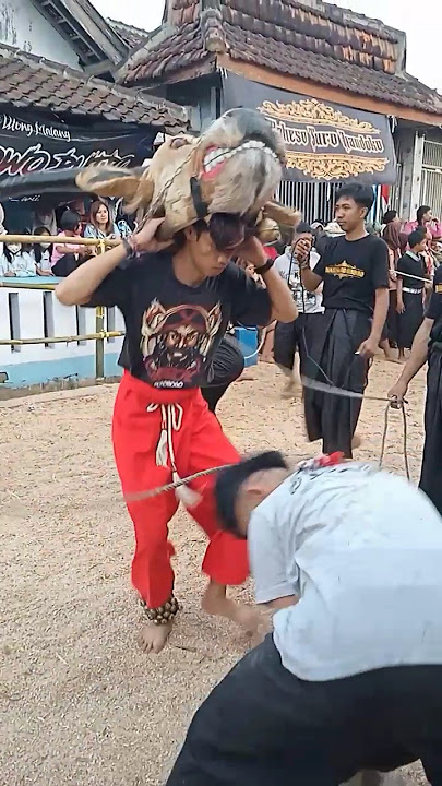 MAHESO SURO HANDOKO | #mahesosurohandoko #bantengan #dj #mberot #malang #culture #trending