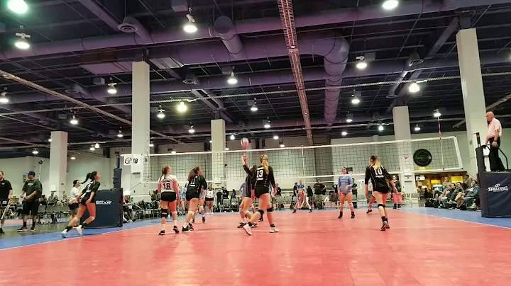 Sofia Quintanilla 2019 Setter