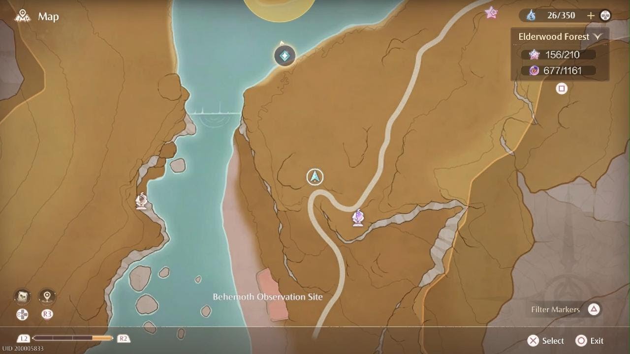 Hidden Decorative Chest Under Plant 