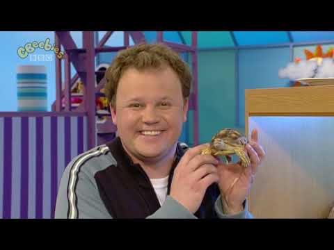 Tikkabilla - Tortoises and Houses (2005)