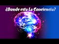 ¿Qué Es La Conciencia? 🤯 🧠