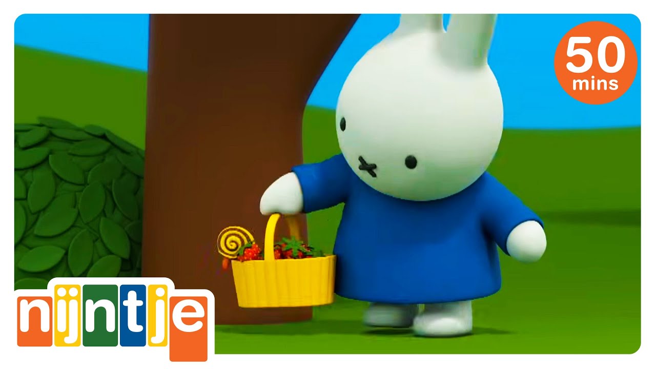nijntje en de kleine vriend | nijntje | het beste van nijntje