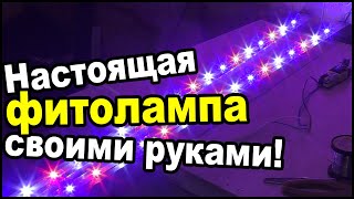 НАСТОЯЩАЯ ФИТОЛАМПА своими руками!!! НЕ БИКОЛОР.