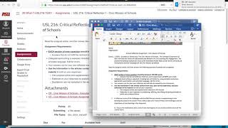 USL Screen Cast #2 Critical Reflections- IMPORTANT
