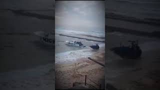 Sonny Evans - Shelly Beach