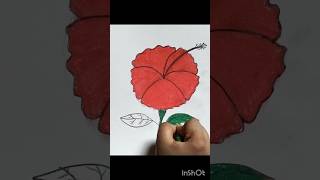 🌺 Beautiful China Rose Drawing | Flower Drawing Tutorial#drawing #shortvideo #art