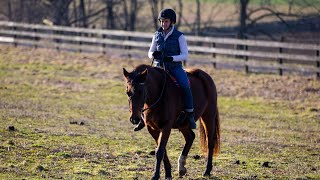 Bareback Riding - Helpful or Harmful?